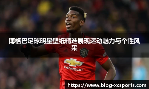 博格巴足球明星壁纸精选展现运动魅力与个性风采